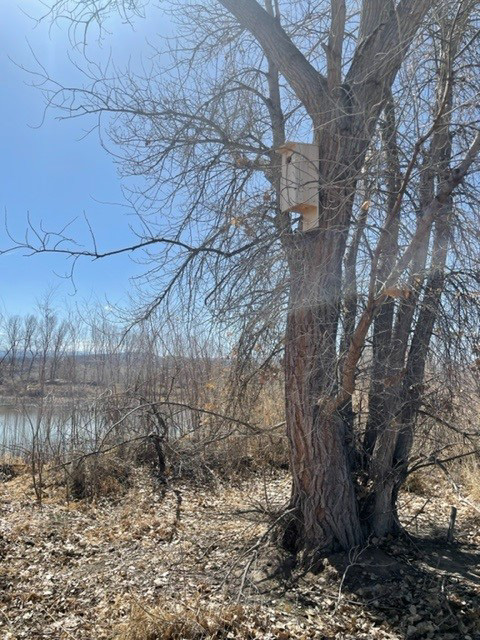 New wood duck boxes overlooking pond at the Grand Junction Wildlife Area
